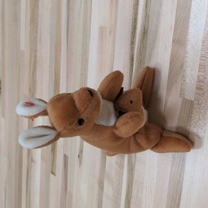 ty Pouch Beanie Baby